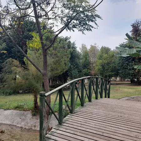 Close To The Sea In The Of Antália