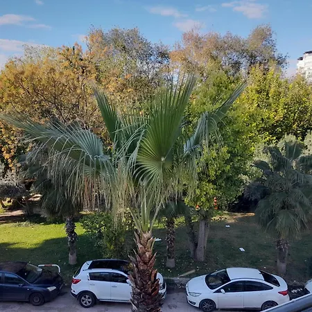 Close To The Sea In The Of Antália